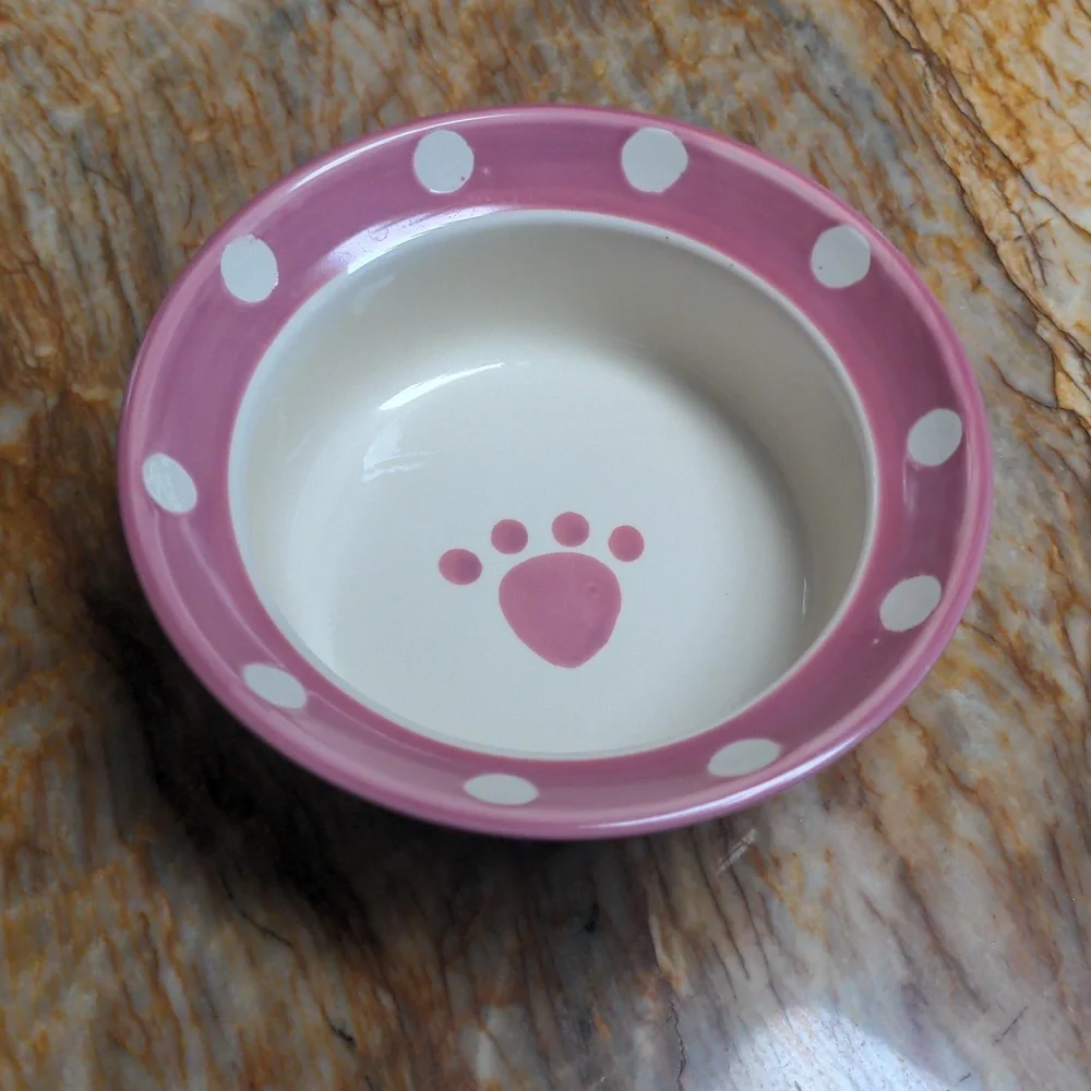 PETRAGEOUS Pet Dog Cat Bowl Feeder